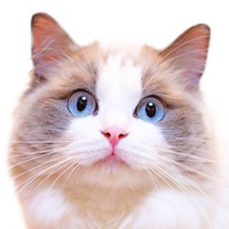 開発テストソフトウェア